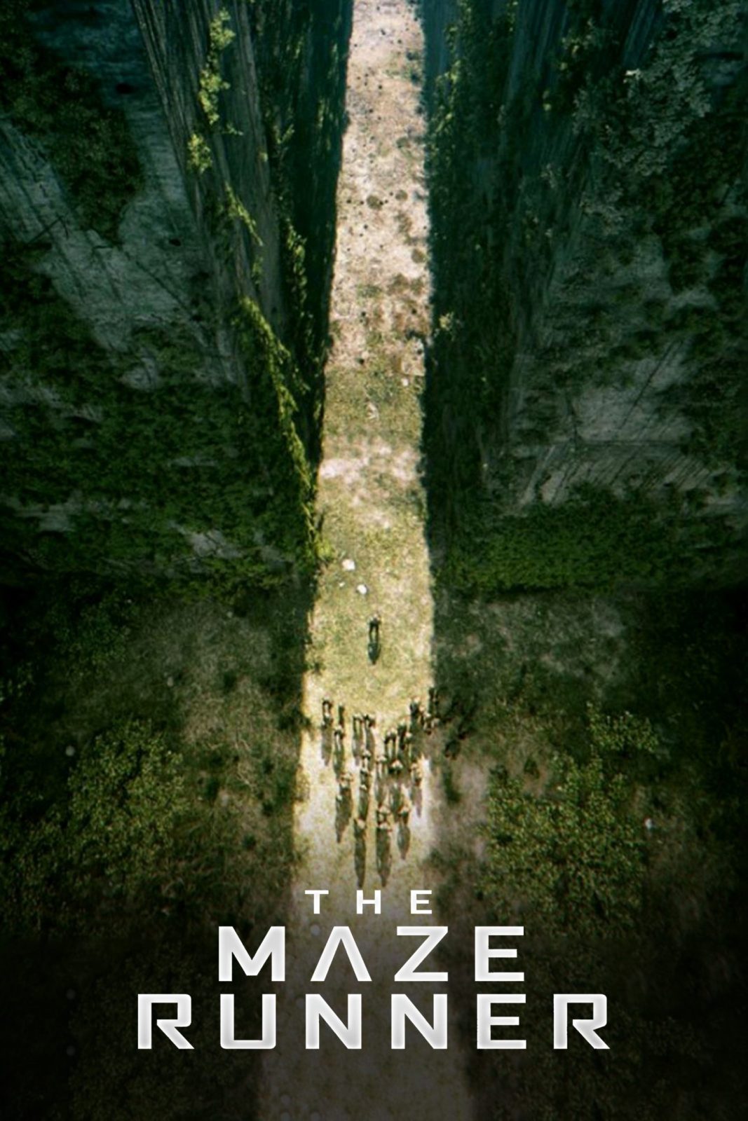 دانلود فیلم The Maze Runner 2014